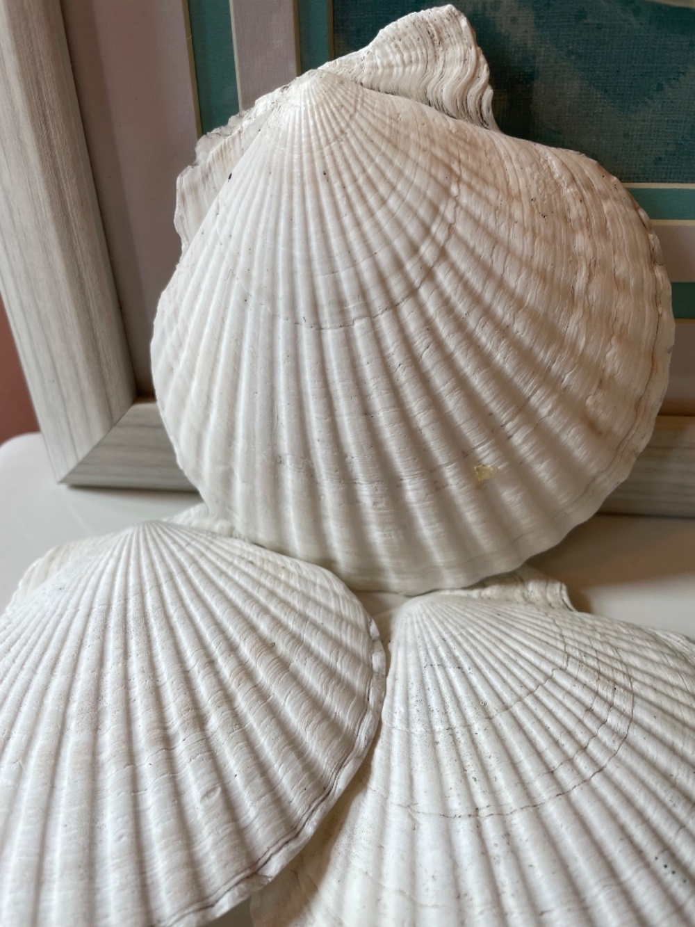 Sea Theme lot of decor items! - Picture 8 of 13